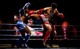 มวย (Boxing & Muay Thai) กีฬาแห่งความอดทนและศิลปะการต่อสู้